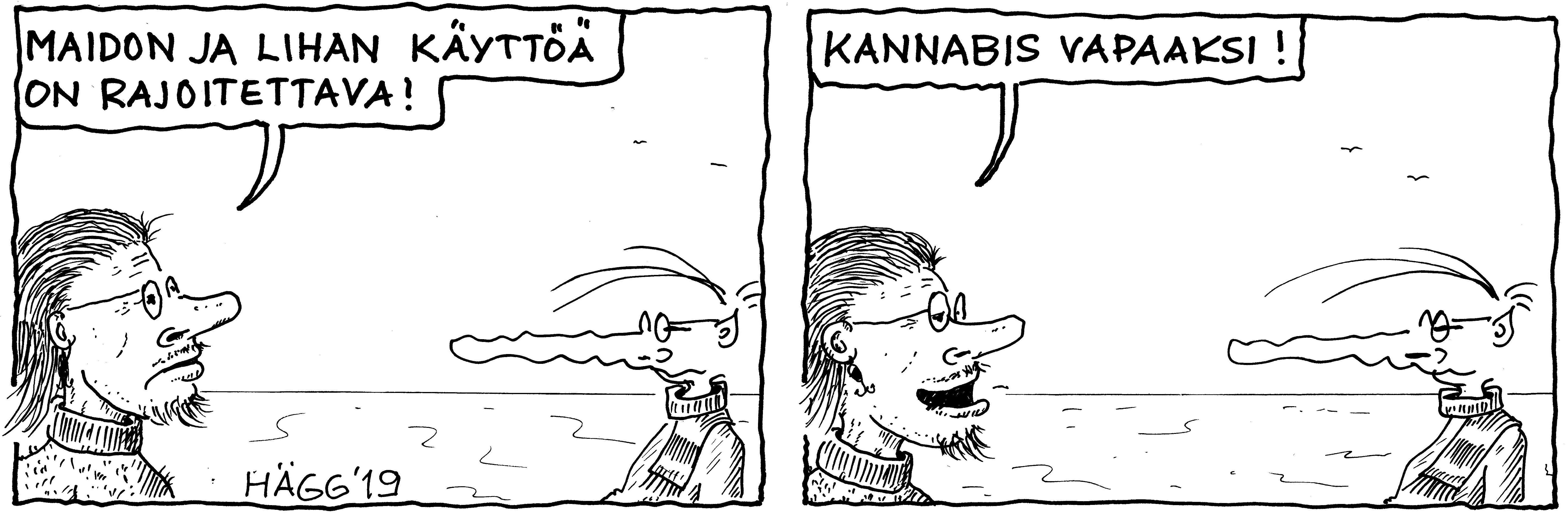 pitkänokka ja mielipiteet.jpg