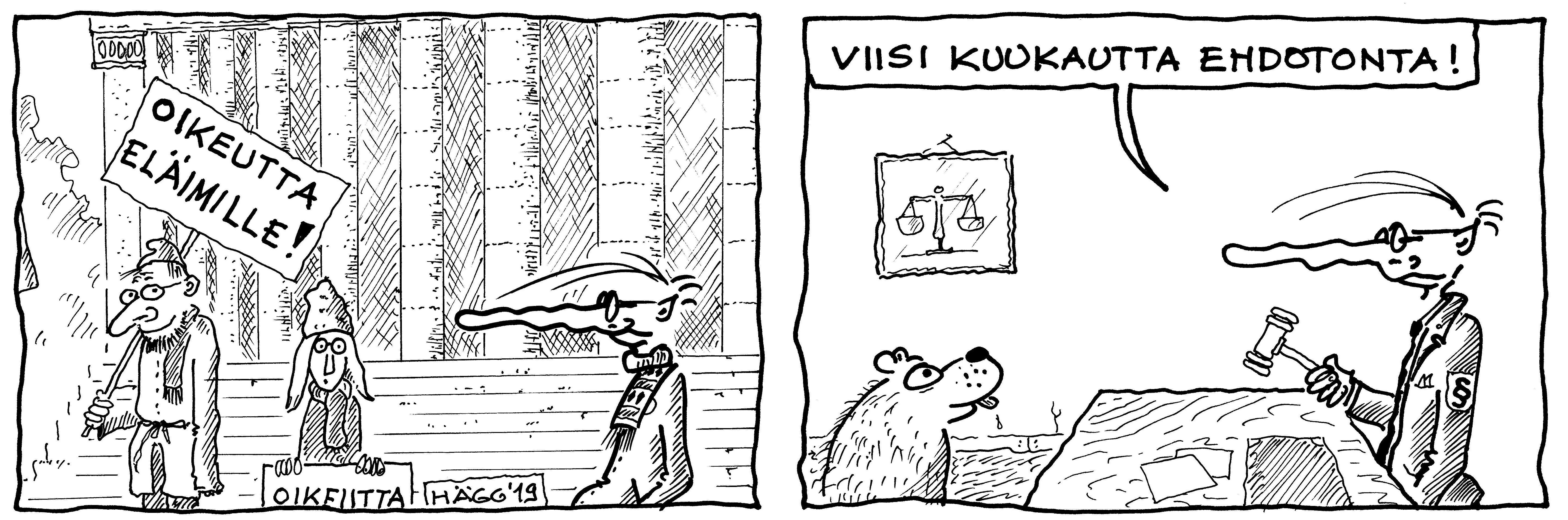 pitkänokka ja oikeutta.jpg