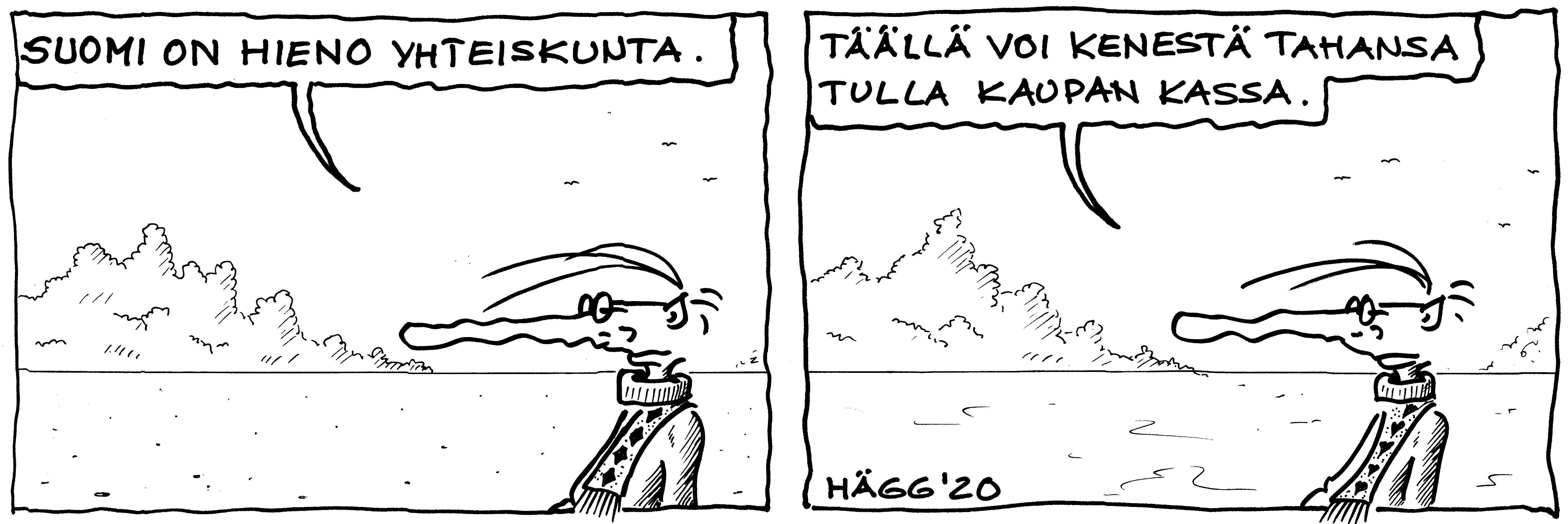 pitkänokka ja kaupan kassa.jpg