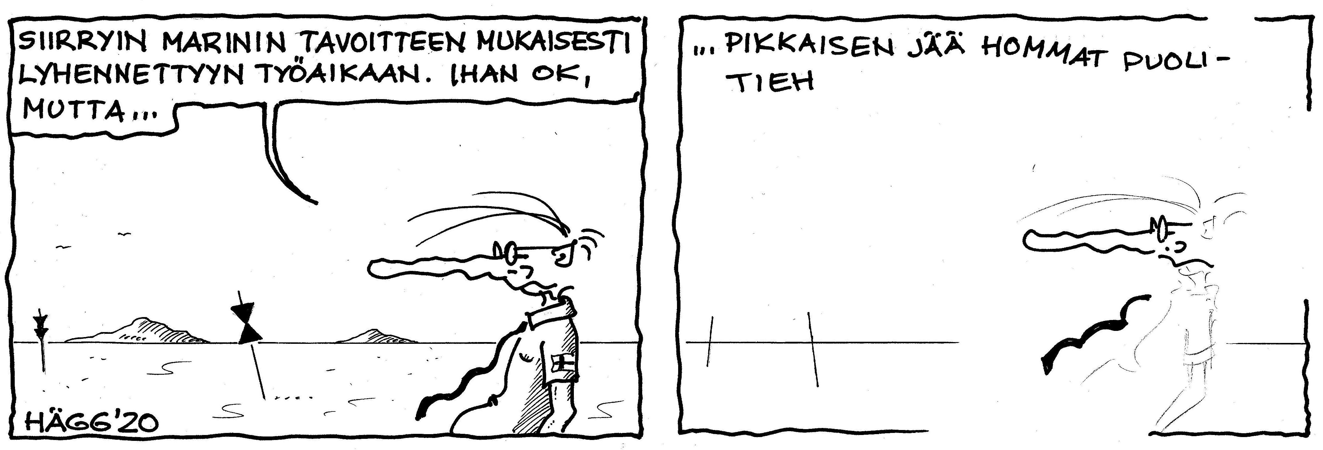 pitkänokka ja marin