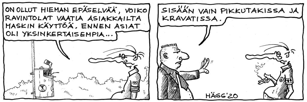 This image has an empty alt attribute; its file name is pitkanokka-ja-maskipakko.jpeg